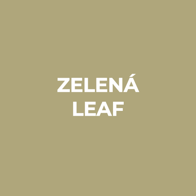 Papírové fotografické plátno 2,7 x 10 m (ZELENÉ-LEAF) - IKONA